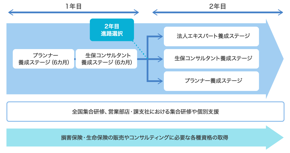 1年目から2年目までの研修体系図