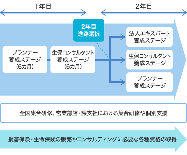 1年目から2年目までの研修体系図